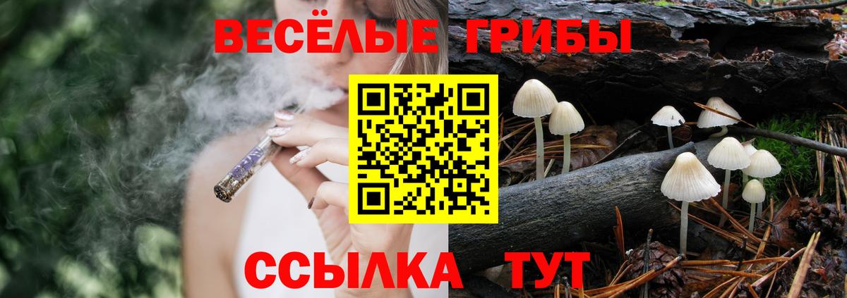 Меф мяу мяу Лыткарино