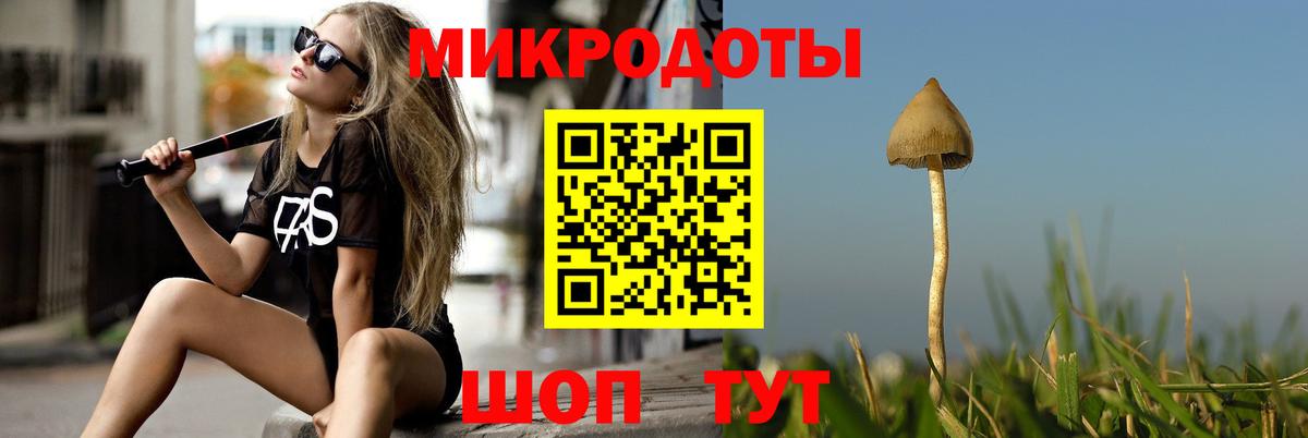 Псилоцибиновые грибы Psilocybine cubensis Лыткарино